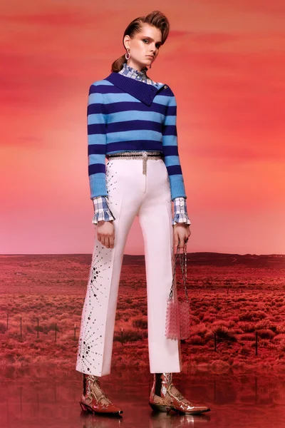 Look 14